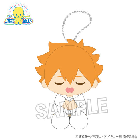 『ハイキュー!!』座ぬい お昼寝ver. 日向翔陽